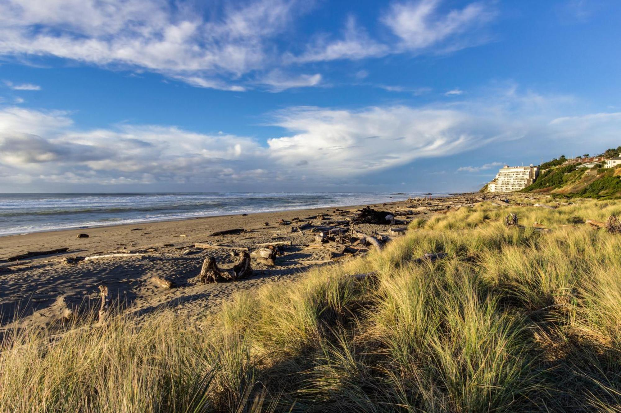 The Whale At Sandstone Point Lägenhet Lincoln City Rum bild