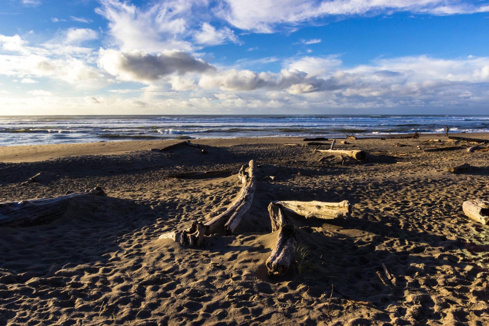 The Whale At Sandstone Point Lägenhet Lincoln City Rum bild